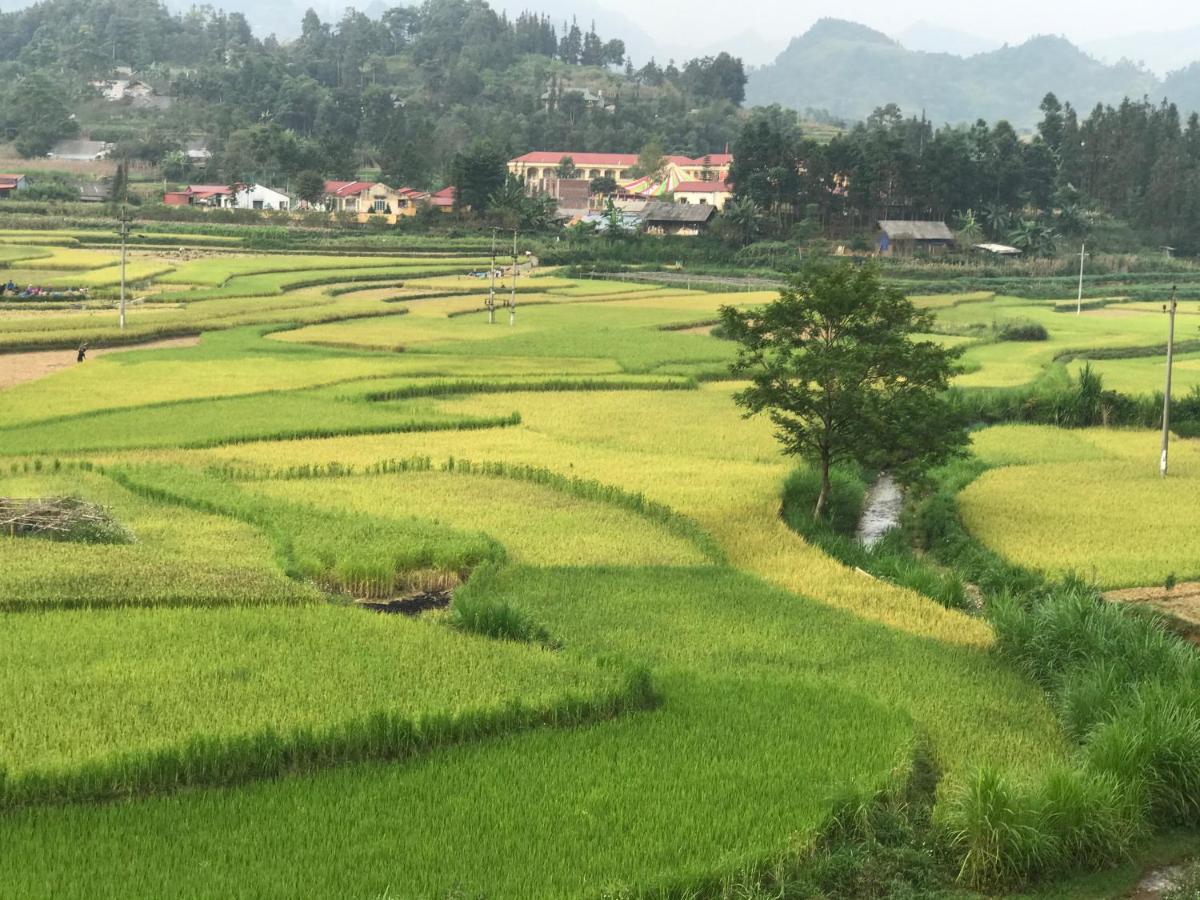 So H'Mong Homestay Bac Ha  Buitenkant foto