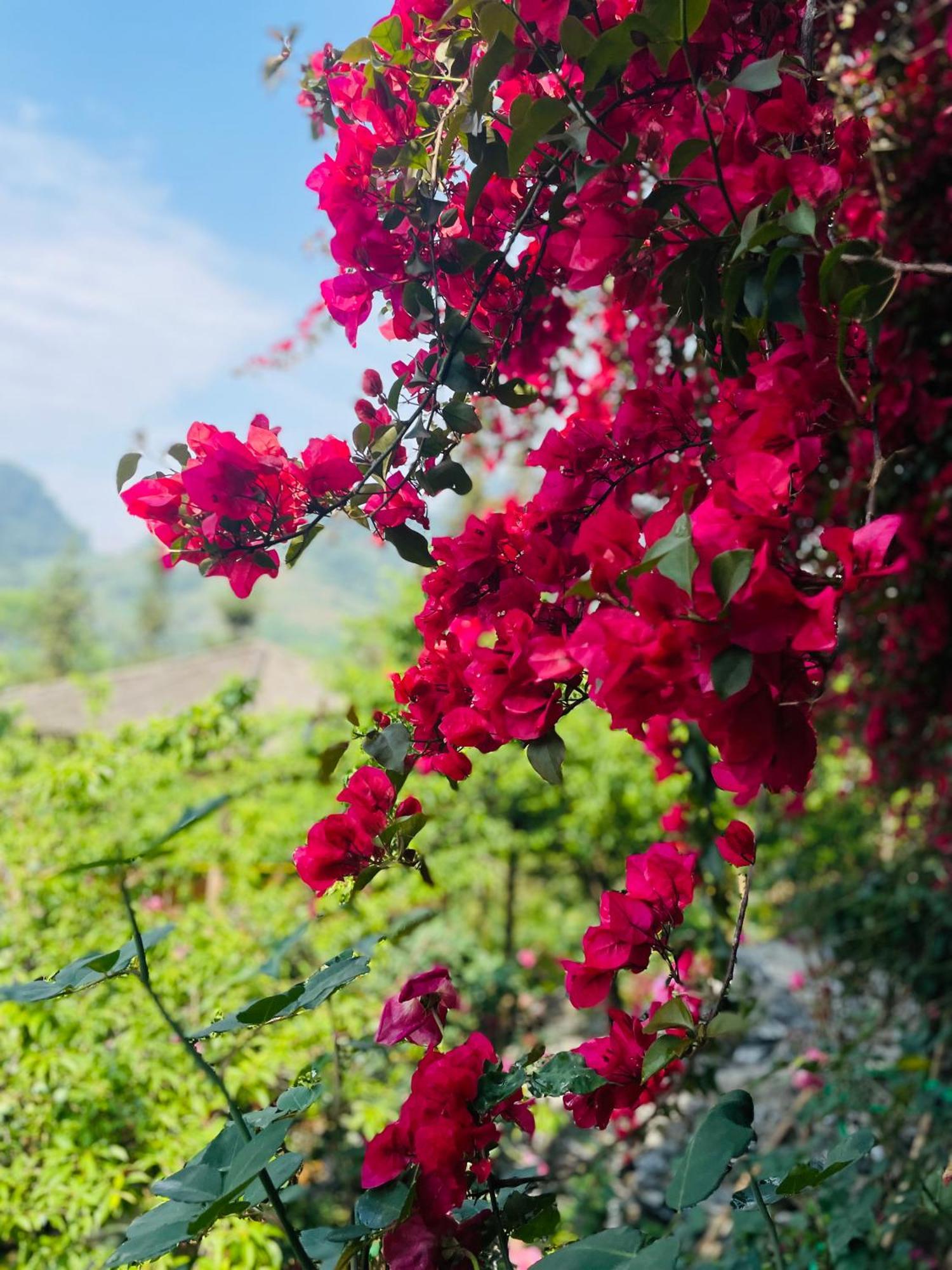 So H'Mong Homestay Bac Ha  Buitenkant foto