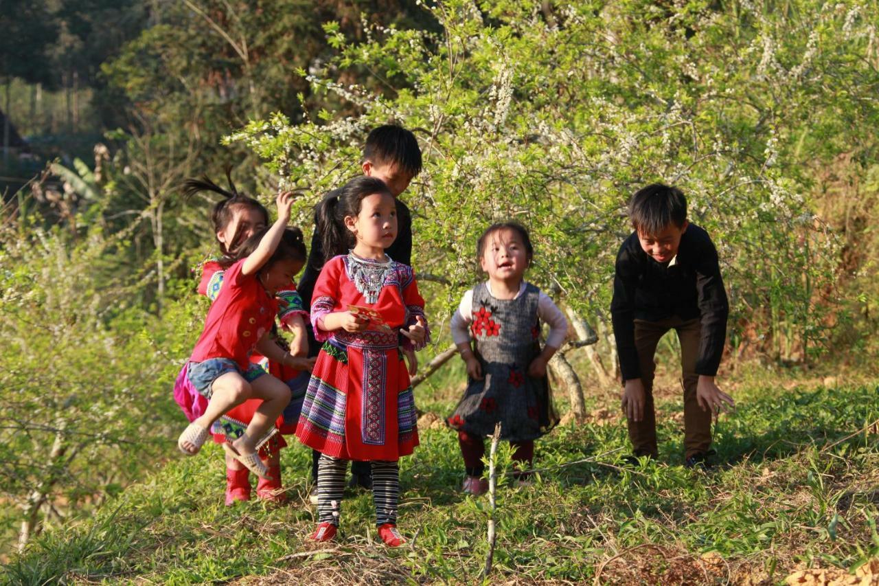 So H'Mong Homestay Bac Ha  Buitenkant foto